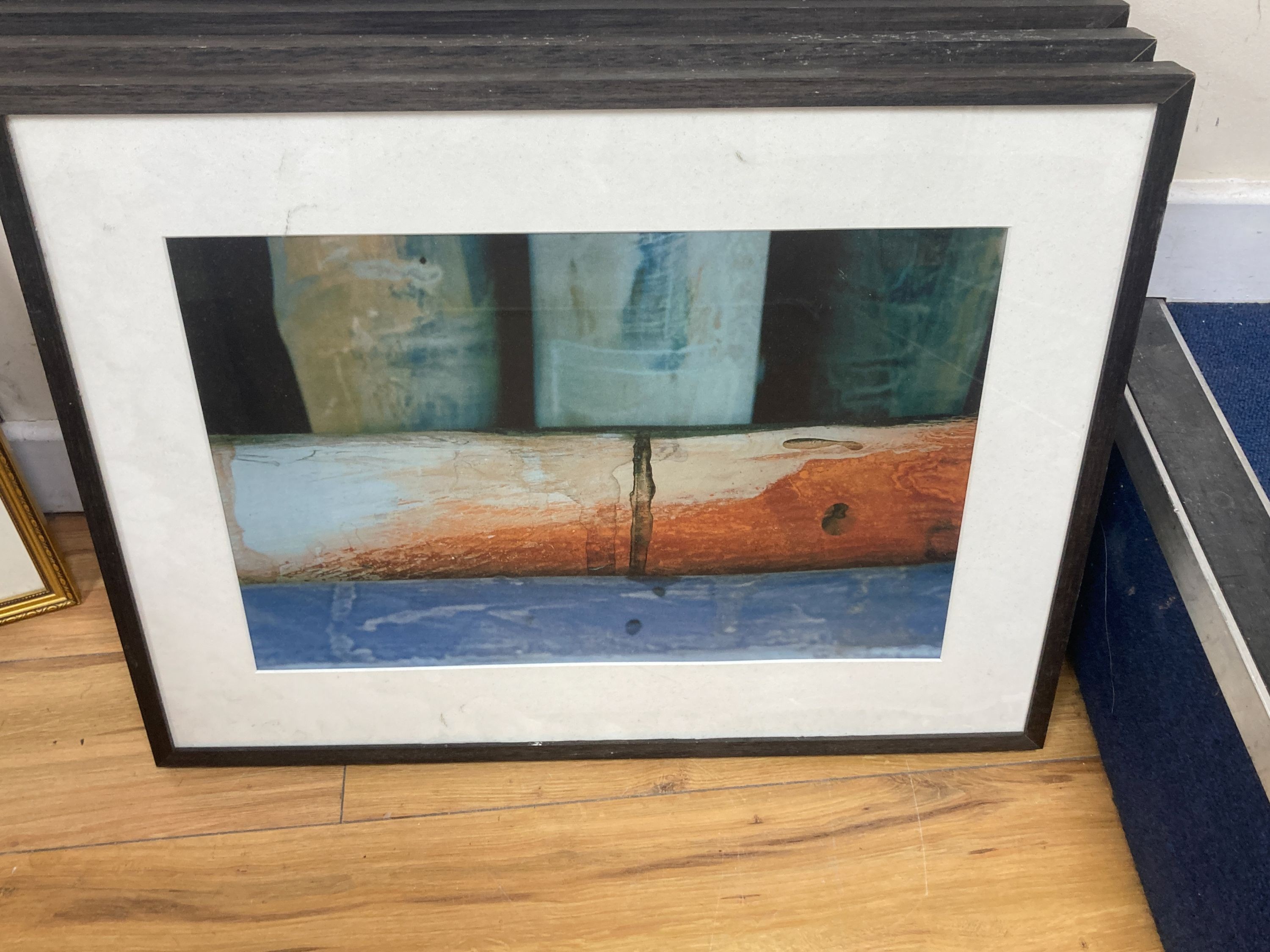 Barbara Nichols, five photographic studies of bamboo, 31 x 47cm.